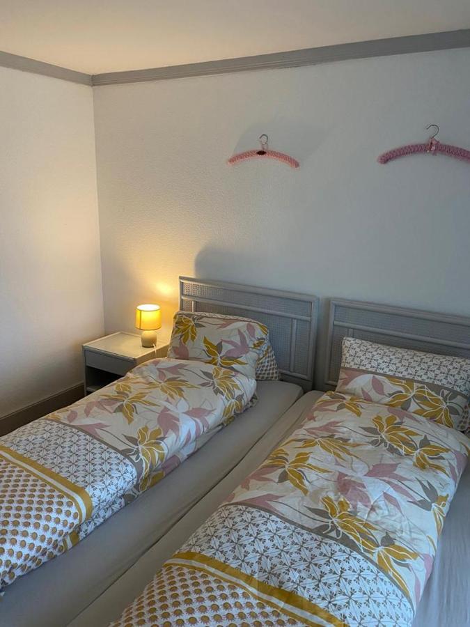 Lake Rooms دارليغن المظهر الخارجي الصورة